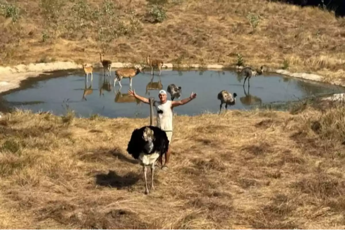 Un hombre con los brazos extendidos está de pie junto a un avestruz en un paisaje seco con un pequeño estanque en el fondo donde se ven varios ciervos y aves. Un hombre con los brazos extendidos está de pie junto a un avestruz en un paisaje seco con un pequeño estanque en el fondo donde se ven varios ciervos y aves.