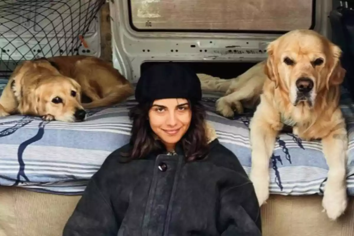 Una persona con boina negra está sentada en una furgoneta junto a dos perros golden retriever que descansan sobre un colchón. Una persona con boina negra está sentada en una furgoneta junto a dos perros golden retriever que descansan sobre un colchón.