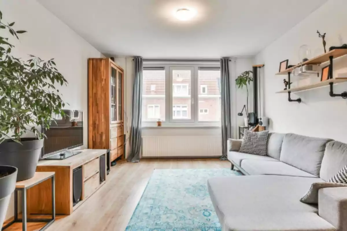 Sala moderna y luminosa con sofá gris, alfombra azul, muebles de madera, plantas y una ventana grande con cortinas grises