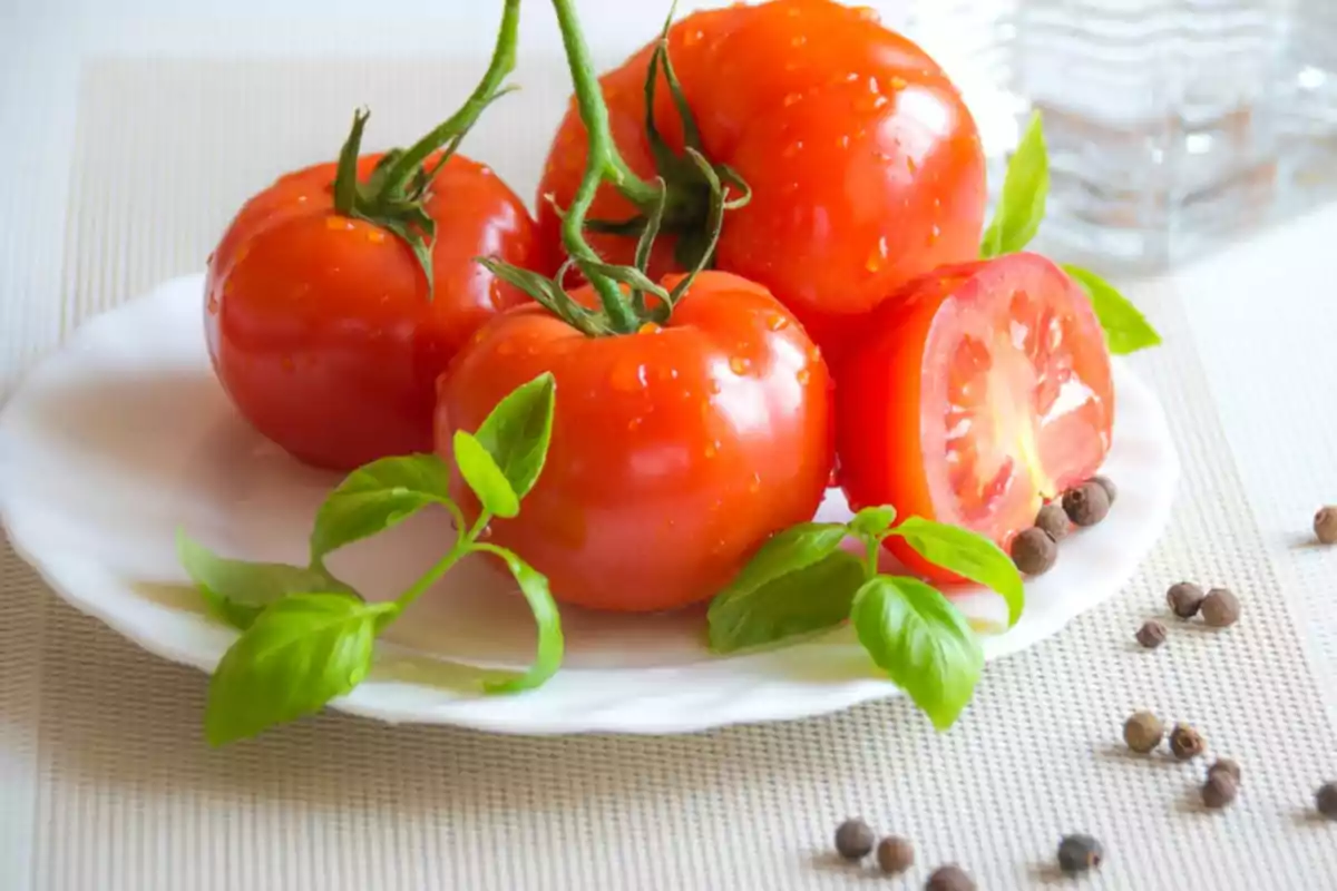 Tomates frescos enteros y uno partido a la mitad sobre un plato blanco con hojas de albahaca y granos de pimienta alrededor