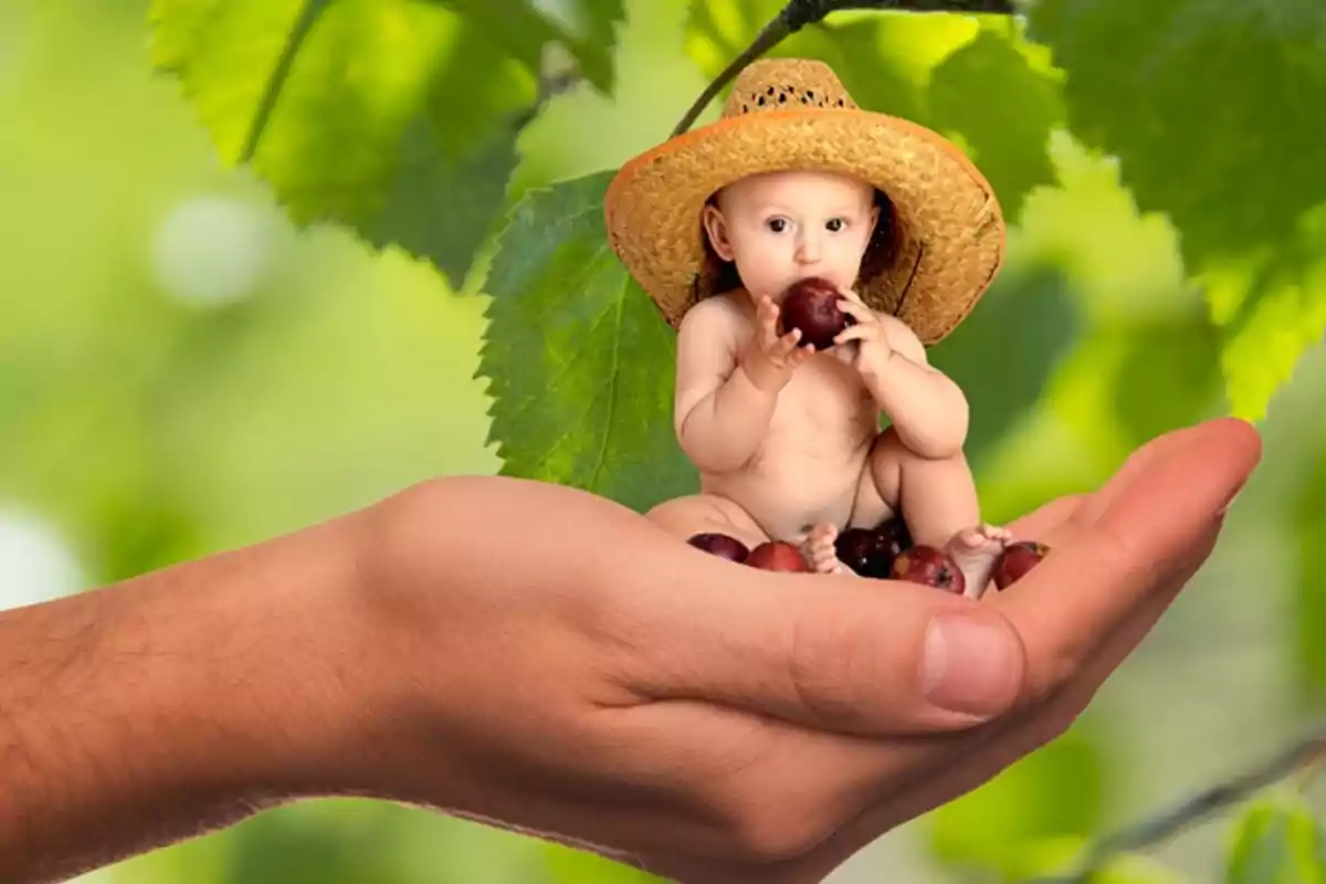 Un bebé pequeño con sombrero de paja sentado en una mano grande mientras come una fruta rodeado de hojas verdes