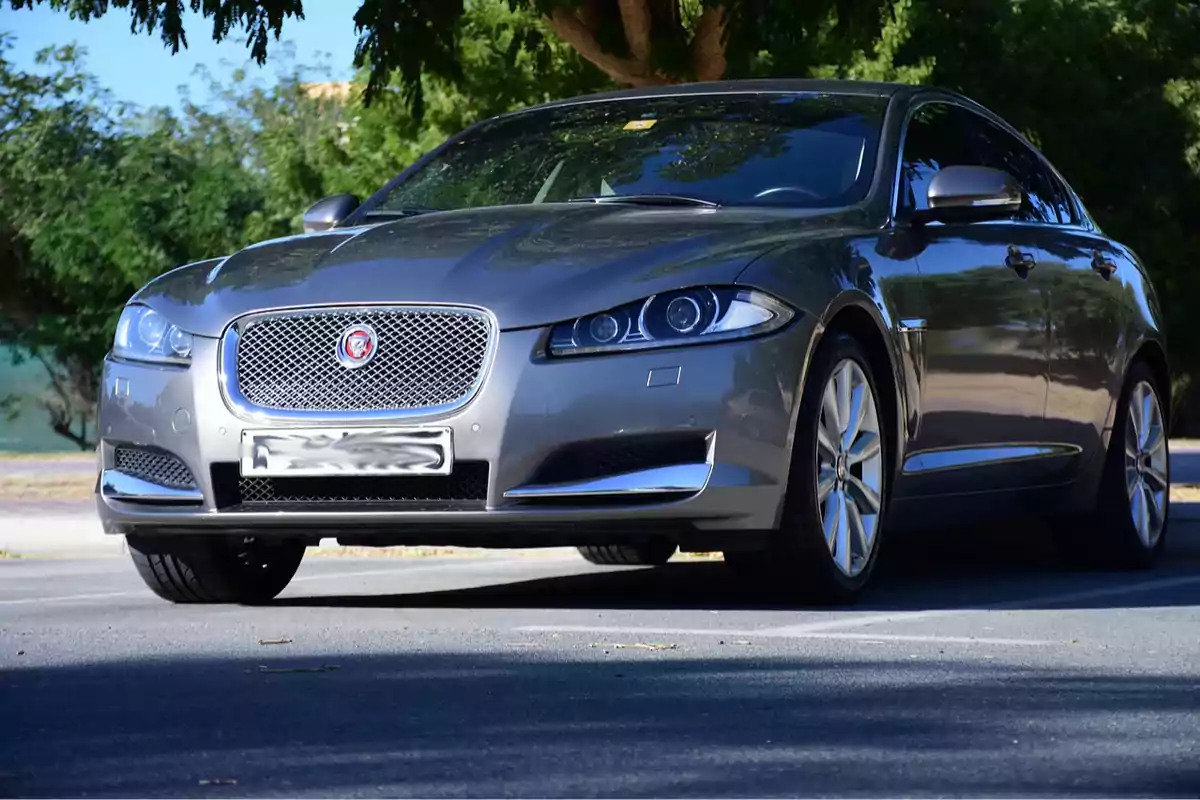 Automóvil Jaguar gris estacionado en la calle bajo la sombra de árboles Automóvil Jaguar gris estacionado en la calle bajo la sombra de árboles