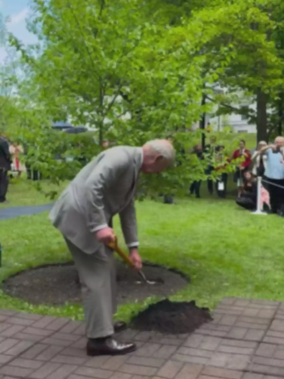 Gray-haired man in a gray suit planting a tree in a park surrounded by grass and people in the background