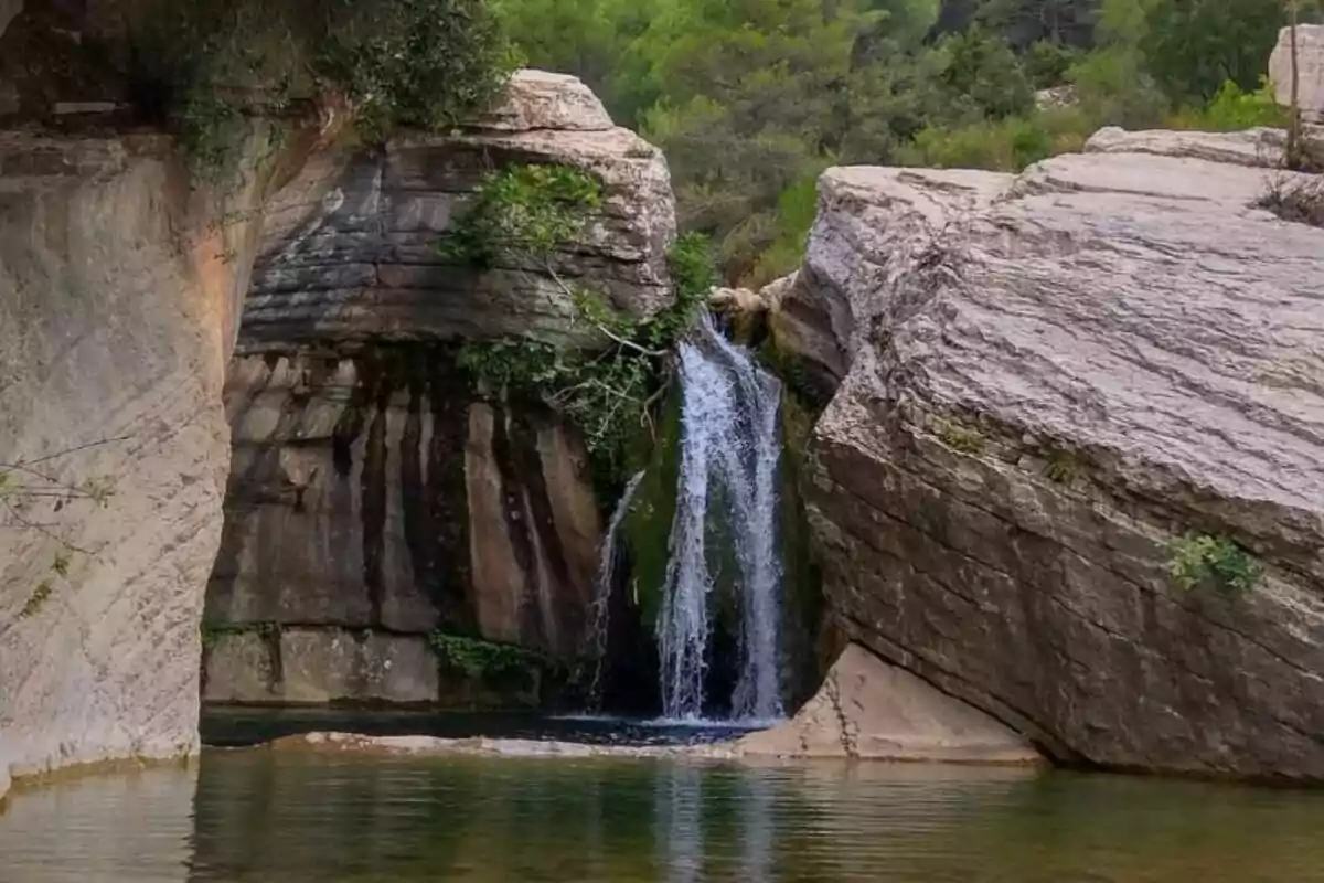 Una pequeña cascada cae entre formaciones rocosas rodeadas de vegetación, desembocando en una piscina natural de agua clara.