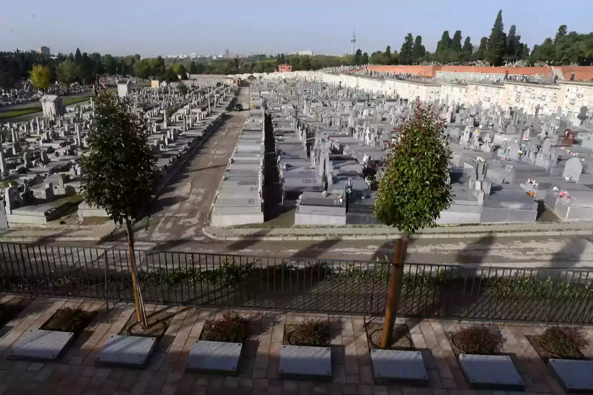 Vista panorámica de un cementerio con numerosas lápidas alineadas y árboles dispersos en el entorno.