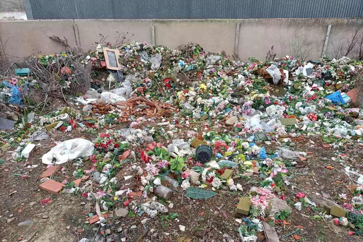 Un montón de desechos y flores marchitas se acumulan en un terreno baldío, creando un paisaje desordenado y descuidado. Un montón de desechos y flores marchitas se acumulan en un terreno baldío, creando un paisaje desordenado y descuidado.