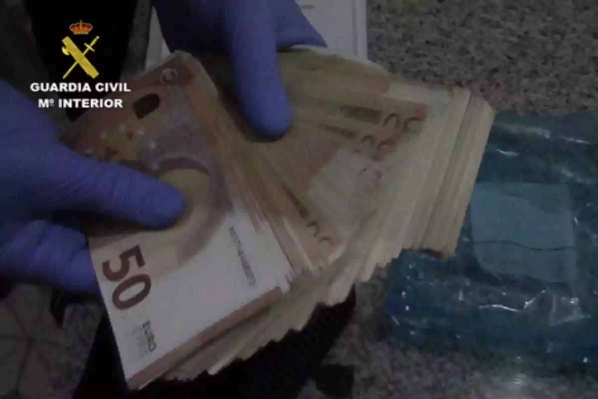 Un agente de la Guardia Civil con guantes azules sostiene un fajo de billetes de 50 euros.