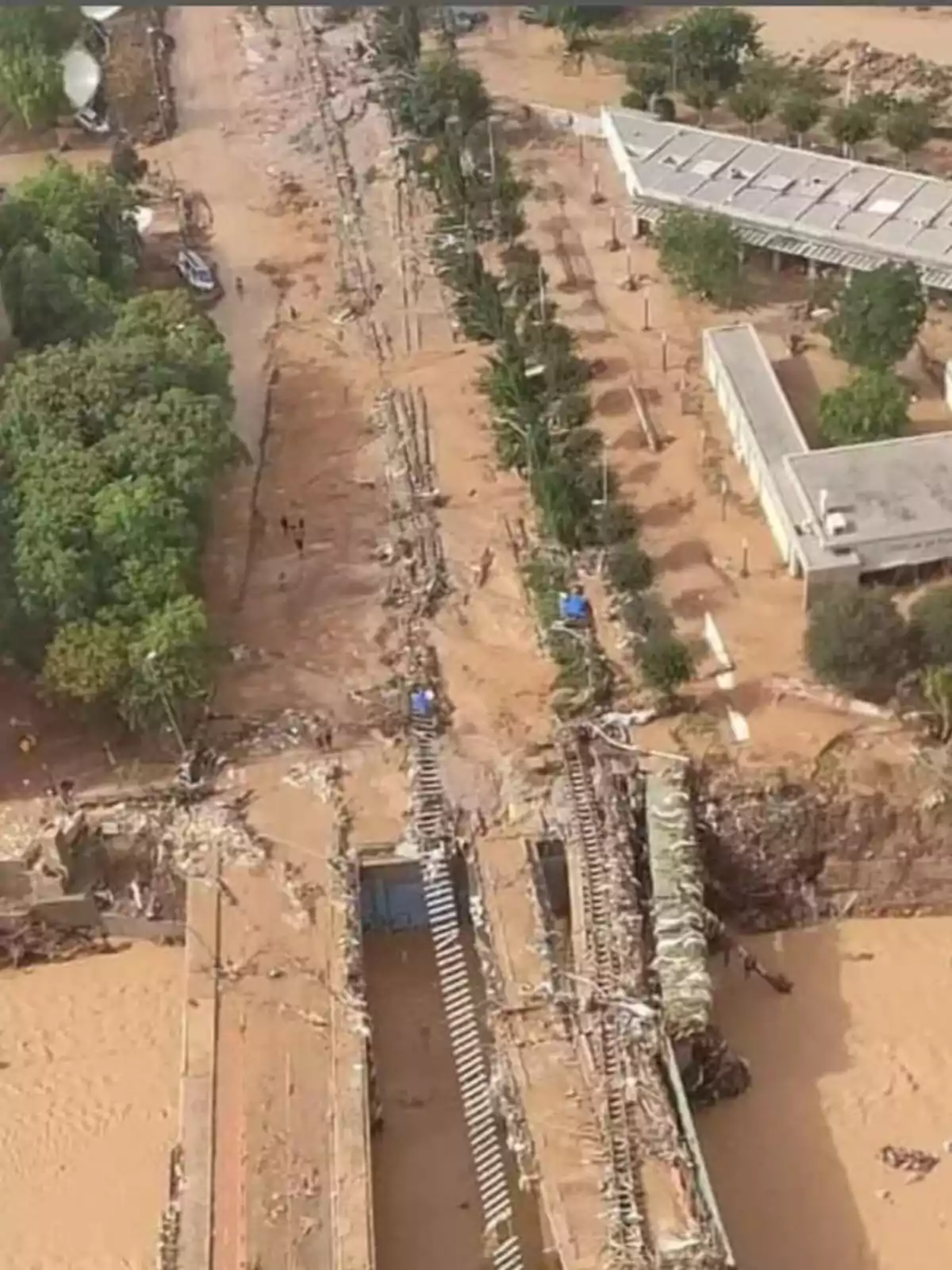 Vista aérea de un puente colapsado y una zona inundada con árboles y edificios cercanos.