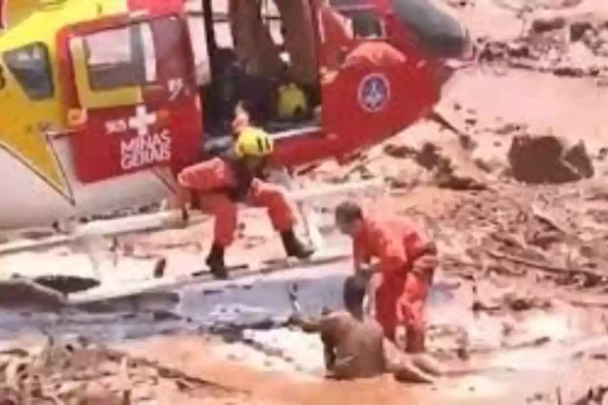 Rescatistas en un helicóptero ayudan a una persona atrapada en el lodo. Rescatistas en un helicóptero ayudan a una persona atrapada en el lodo.