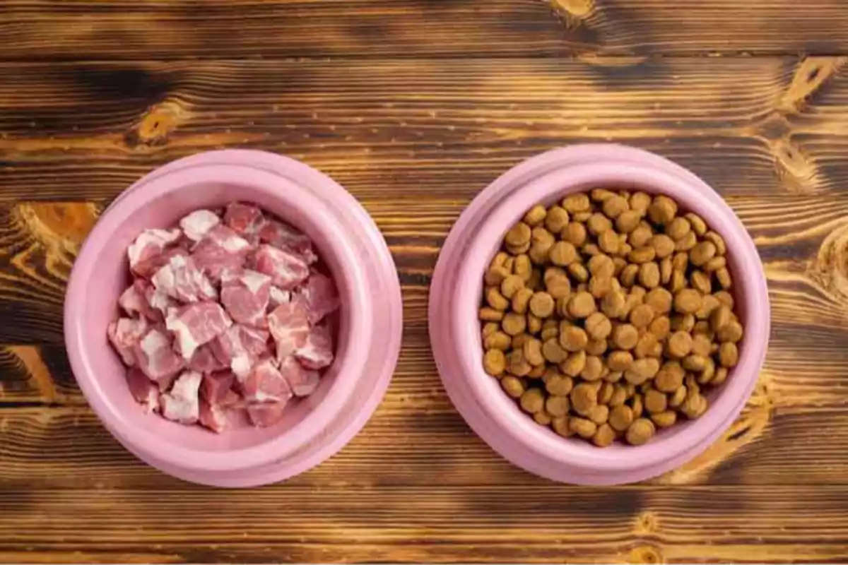 Dos tazones rosados sobre una mesa de madera uno con carne cruda y otro con croquetas para mascotas.