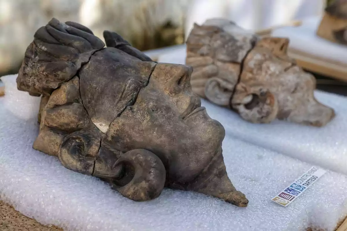 Fragmentos de esculturas de cabezas de piedra descansan sobre una superficie acolchada.