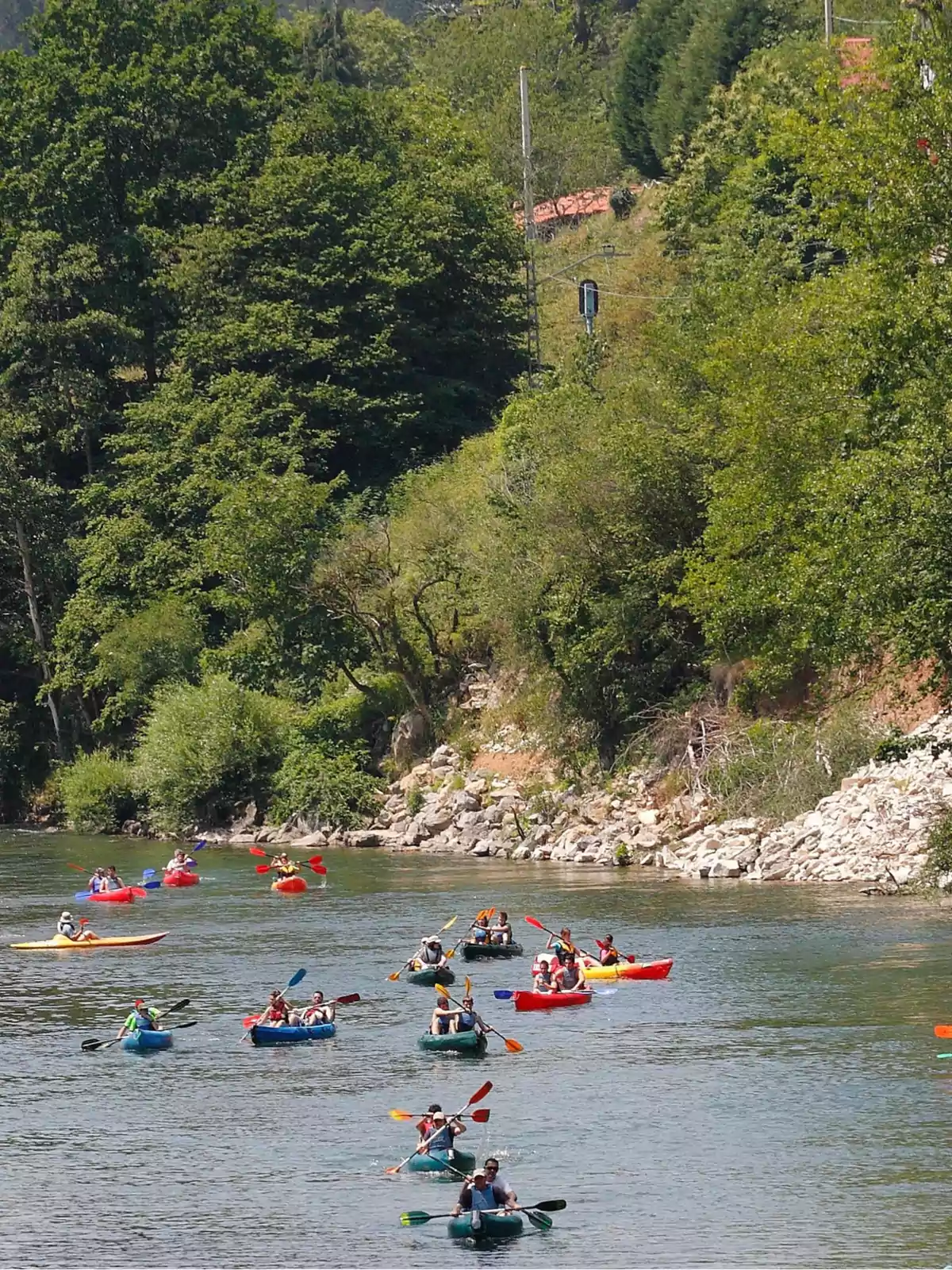 Varias personas reman en kayaks de colores en un río rodeado de vegetación y árboles frondosos.