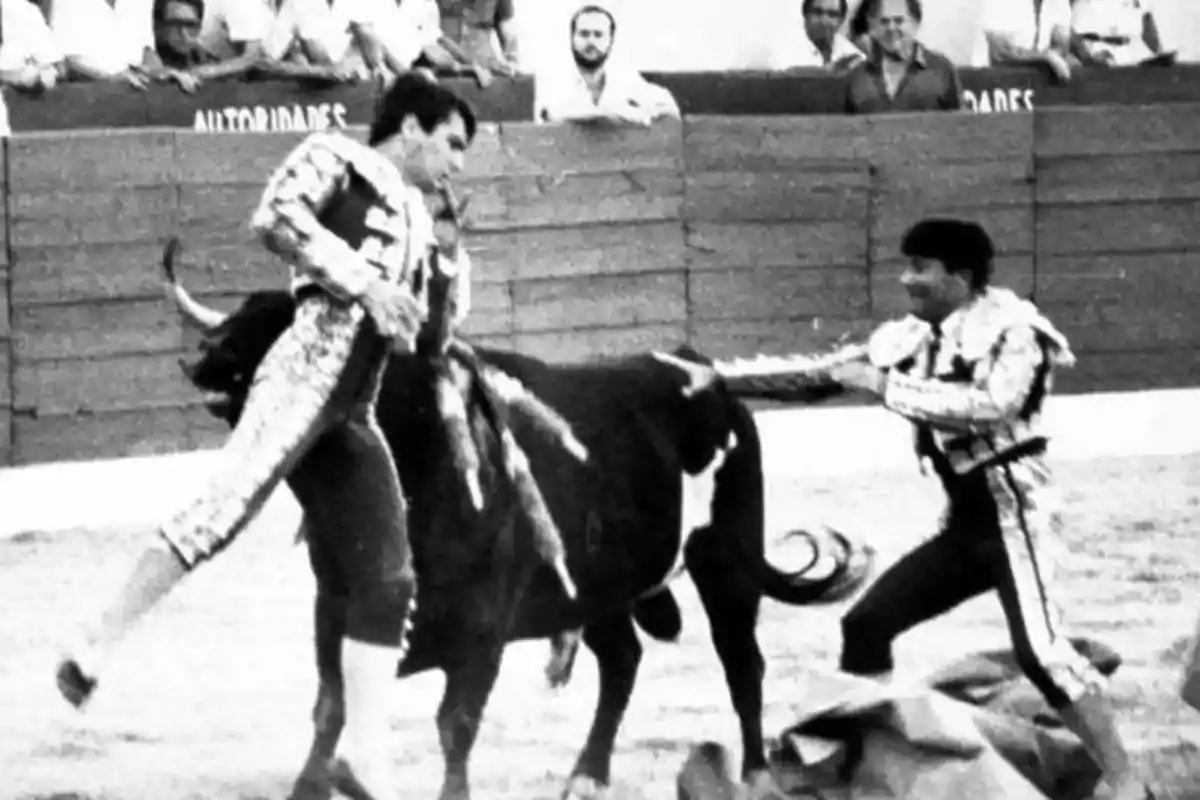 Dos toreros interactúan con un toro en una plaza de toros mientras el público observa desde las gradas.