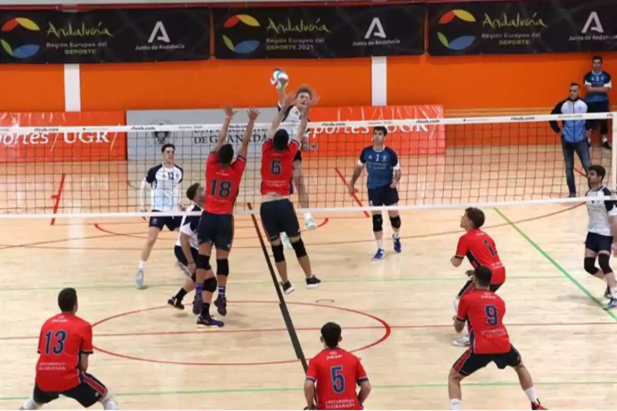 Jugadores de voleibol en un partido en un gimnasio, con dos jugadores del equipo con camisetas rojas saltando para bloquear un remate del equipo contrario con camisetas blancas y azules.