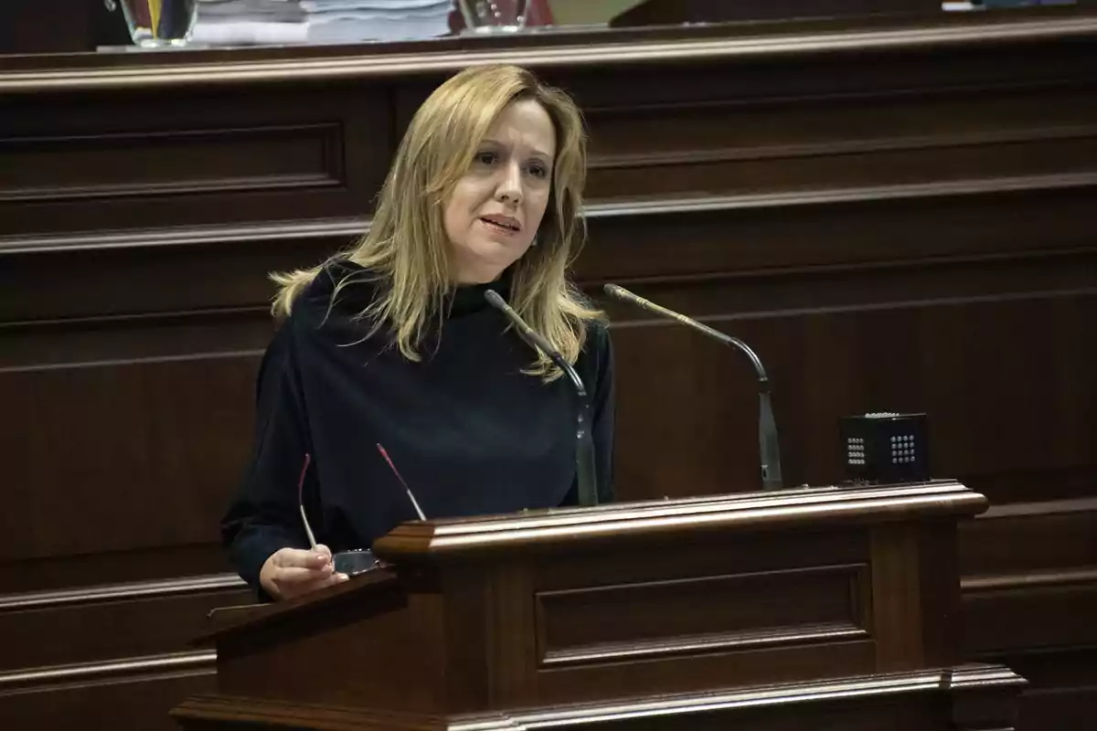 Mujer rubia hablando en un podio de madera en un entorno institucional o parlamentario Mujer rubia hablando en un podio de madera en un entorno institucional o parlamentario