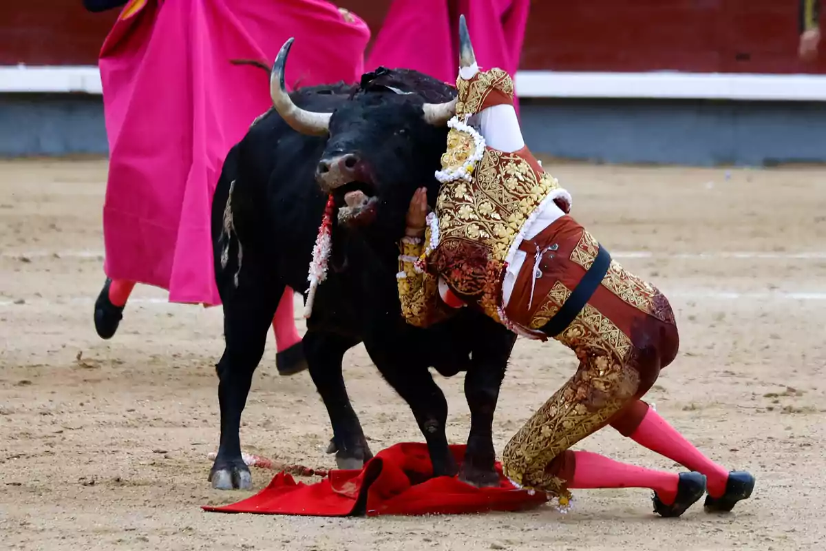 Andrés Roca Rey sufre una grave cogida durante su faena en la plaza de toros de Las Ventas, a 6 de octubre de 2024, en Madrid (España)