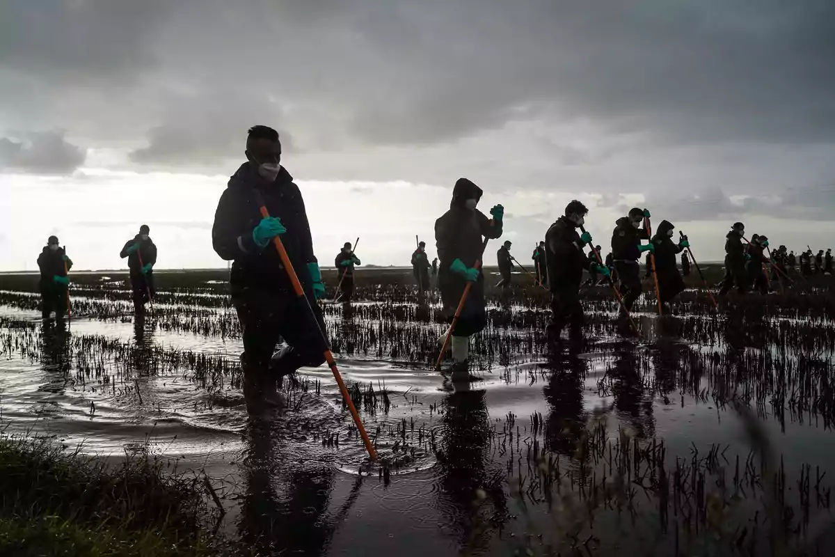 Un grupo de personas con equipo de protección camina por un campo inundado bajo un cielo nublado.