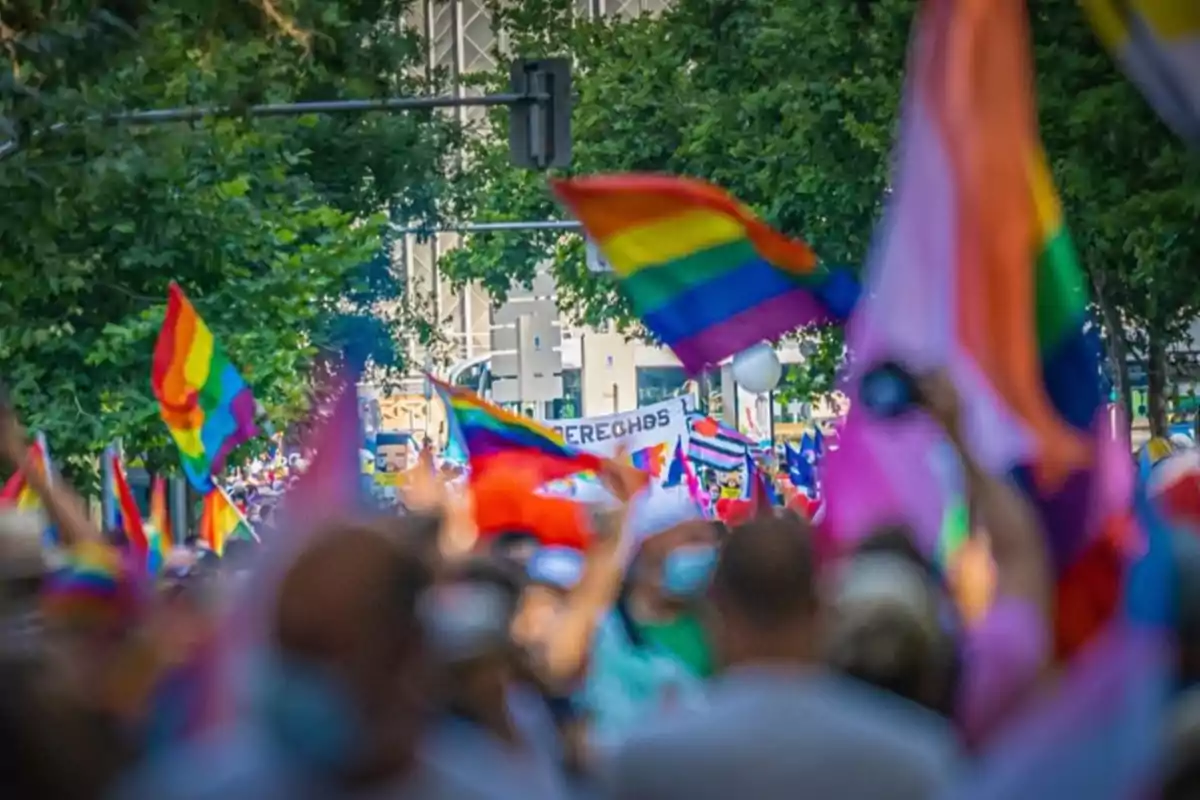 Una multitud celebra en una marcha del orgullo LGBTQ+ con banderas de arcoíris y otros colores, rodeados de árboles y edificios en el fondo.
