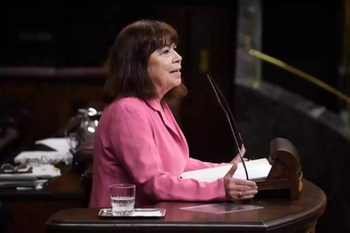 Mujer de cabello castaño y chaqueta rosa hablando en un podio dentro de un recinto parlamentario Mujer de cabello castaño y chaqueta rosa hablando en un podio dentro de un recinto parlamentario