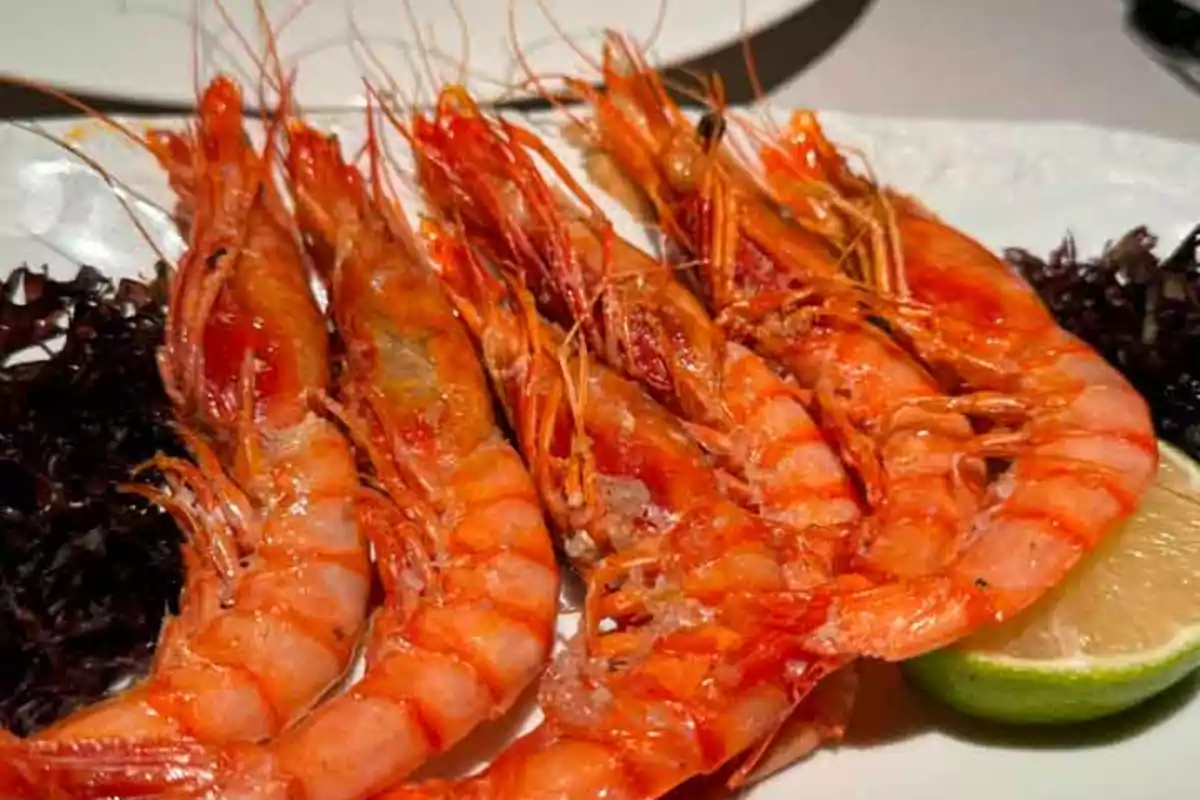 Un plato de camarones cocidos acompañados de rodajas de limón y algas.