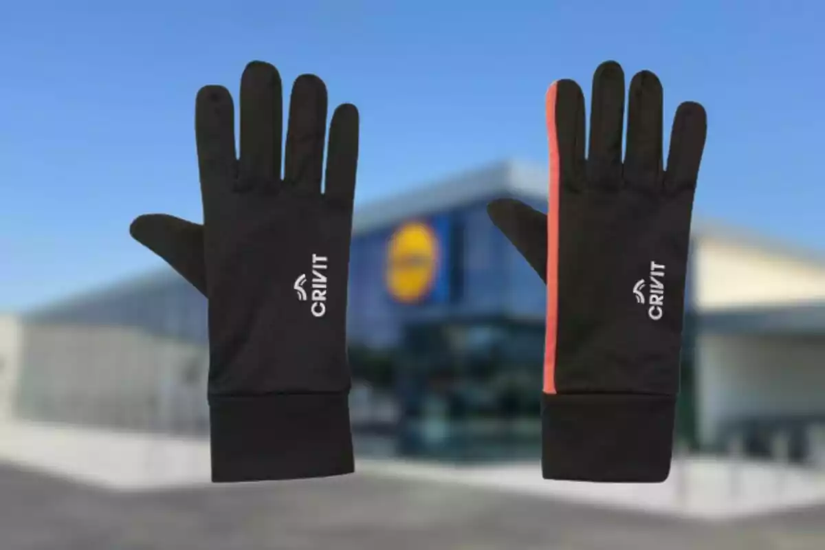 Guantes negros con la marca Crivit visibles frente a un edificio con el logotipo de Lidl en el fondo. Guantes negros con la marca Crivit visibles frente a un edificio con el logotipo de Lidl en el fondo.