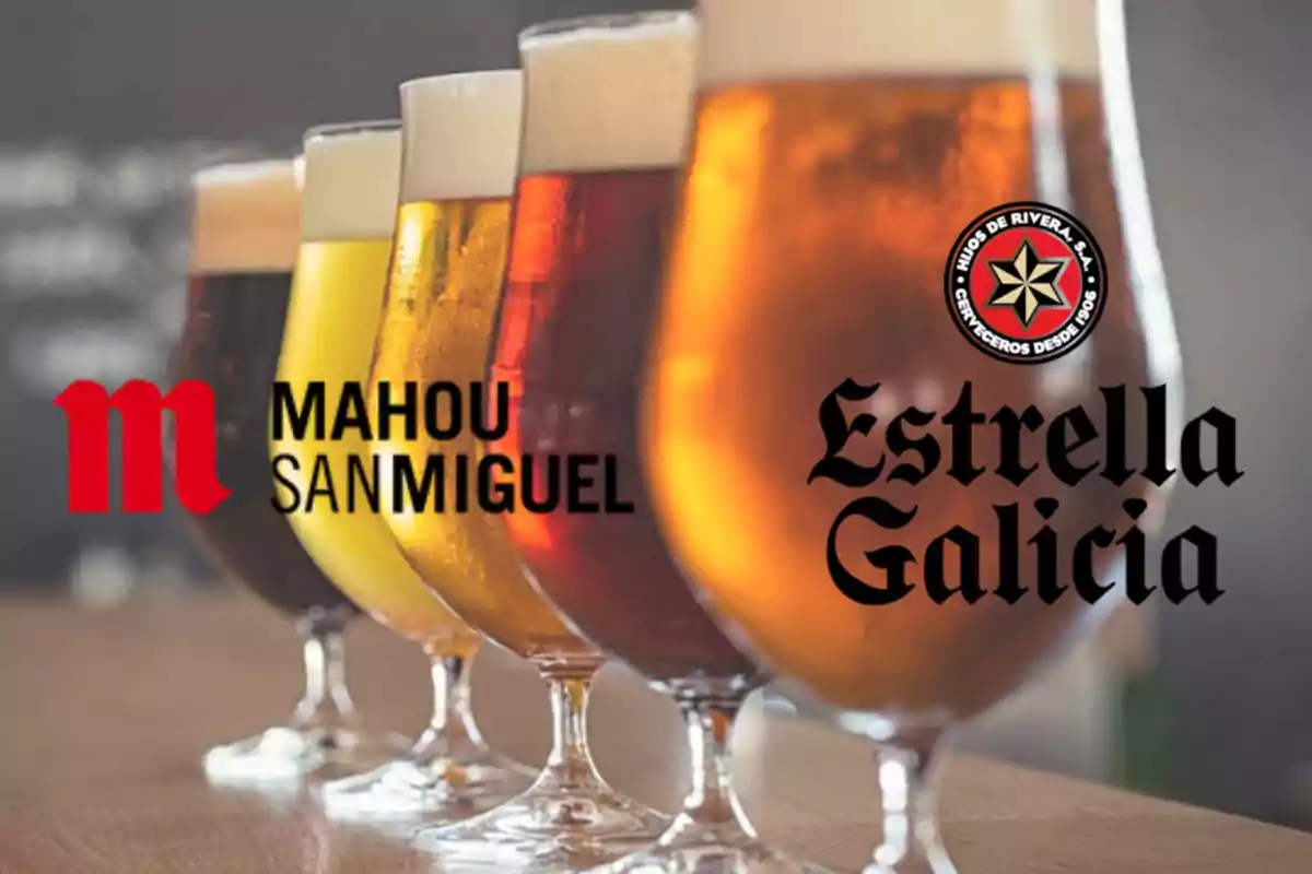 Cinco copas de cerveza con logotipos de Mahou San Miguel y Estrella Galicia.