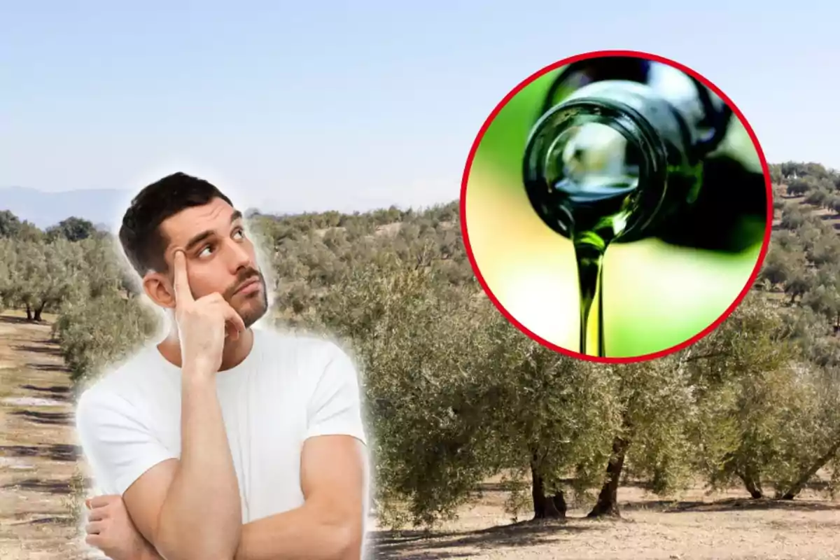 Hombre pensativo en un campo de olivos con una imagen de aceite de oliva vertiéndose en un círculo rojo.