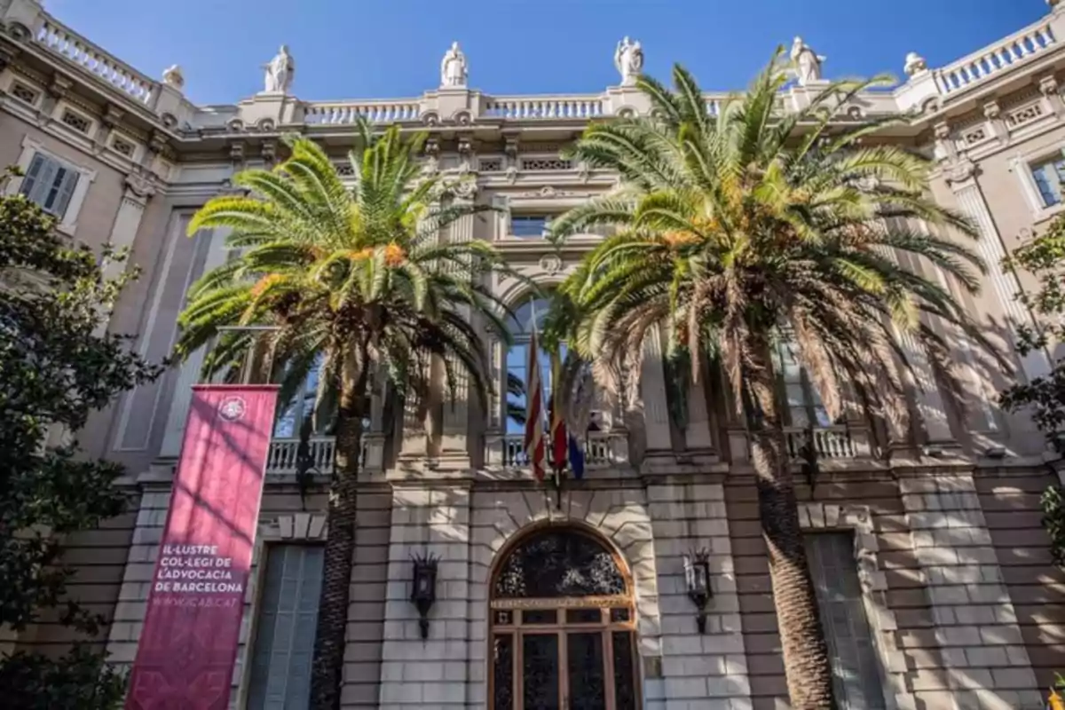 Fachada de un edificio histórico con palmeras y una bandera en la entrada.