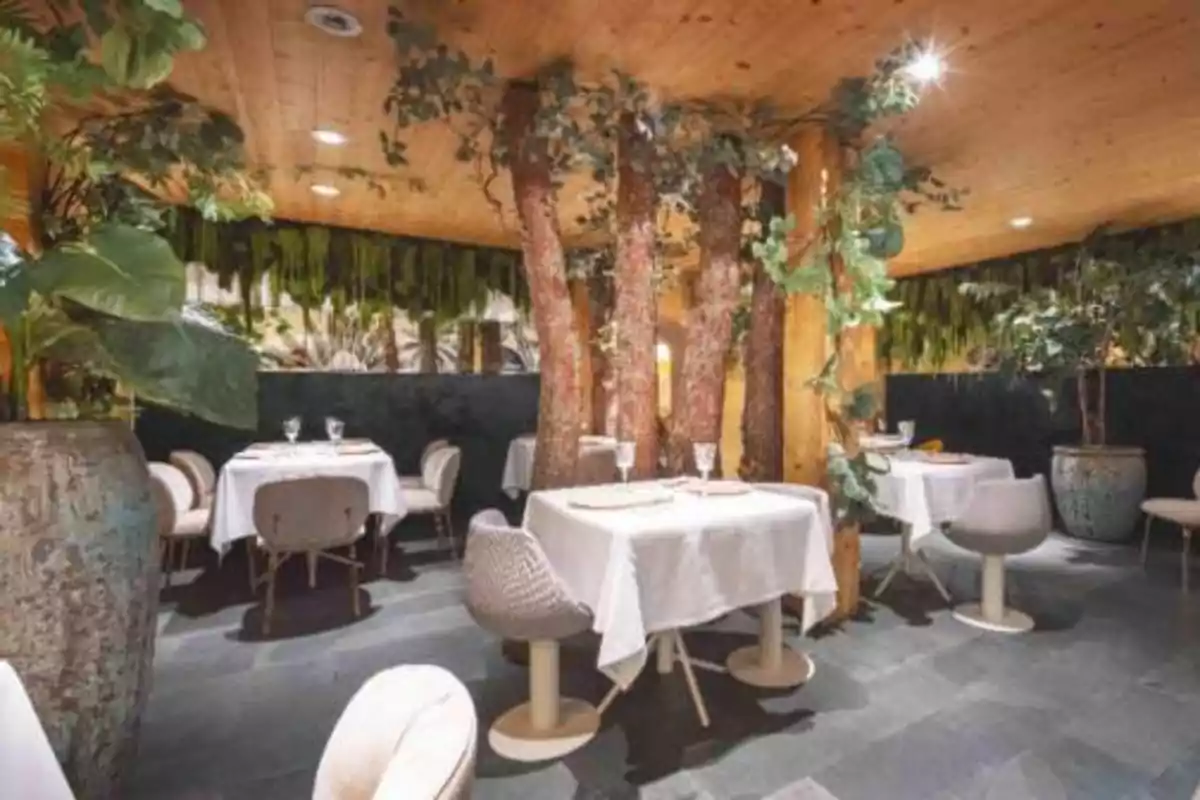 Un restaurante con una decoración natural que incluye árboles y plantas, mesas con manteles blancos y sillas modernas en un ambiente acogedor y elegante.