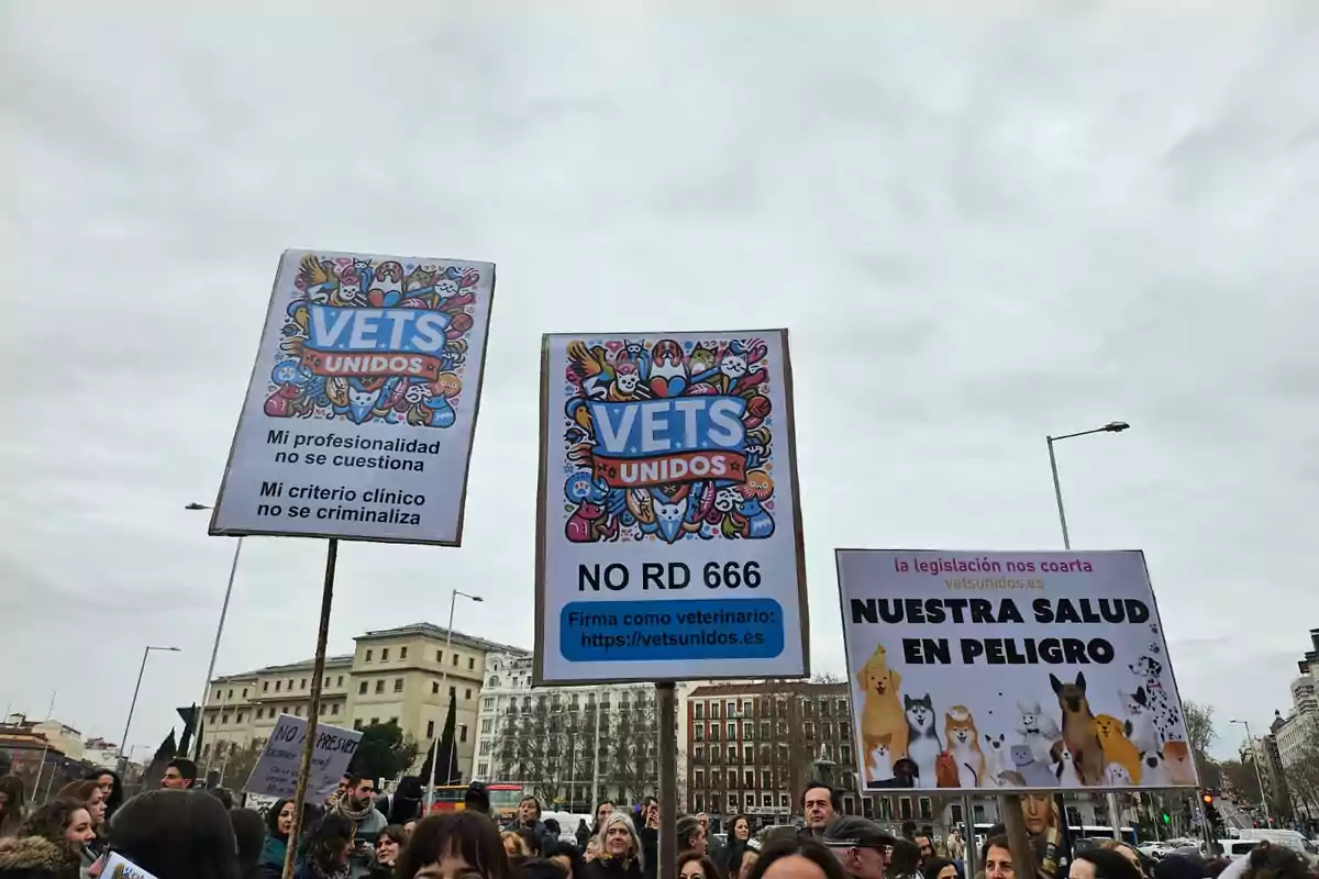 Personas en una manifestación sostienen pancartas que dicen "Vets Unidos" y "Nuestra salud en peligro" en una ciudad con edificios de fondo.