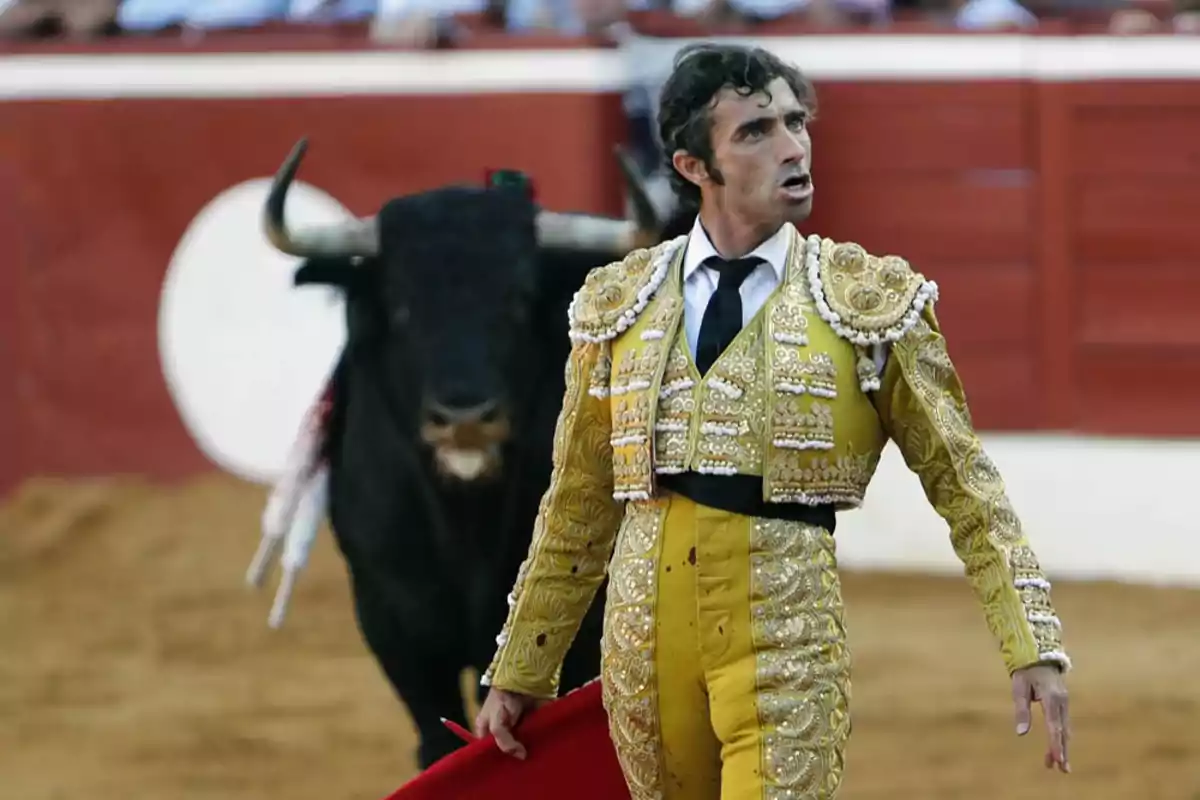 Un torero vestido de traje amarillo y dorado sostiene una muleta roja mientras un toro negro se encuentra detrás de él en una plaza de toros.