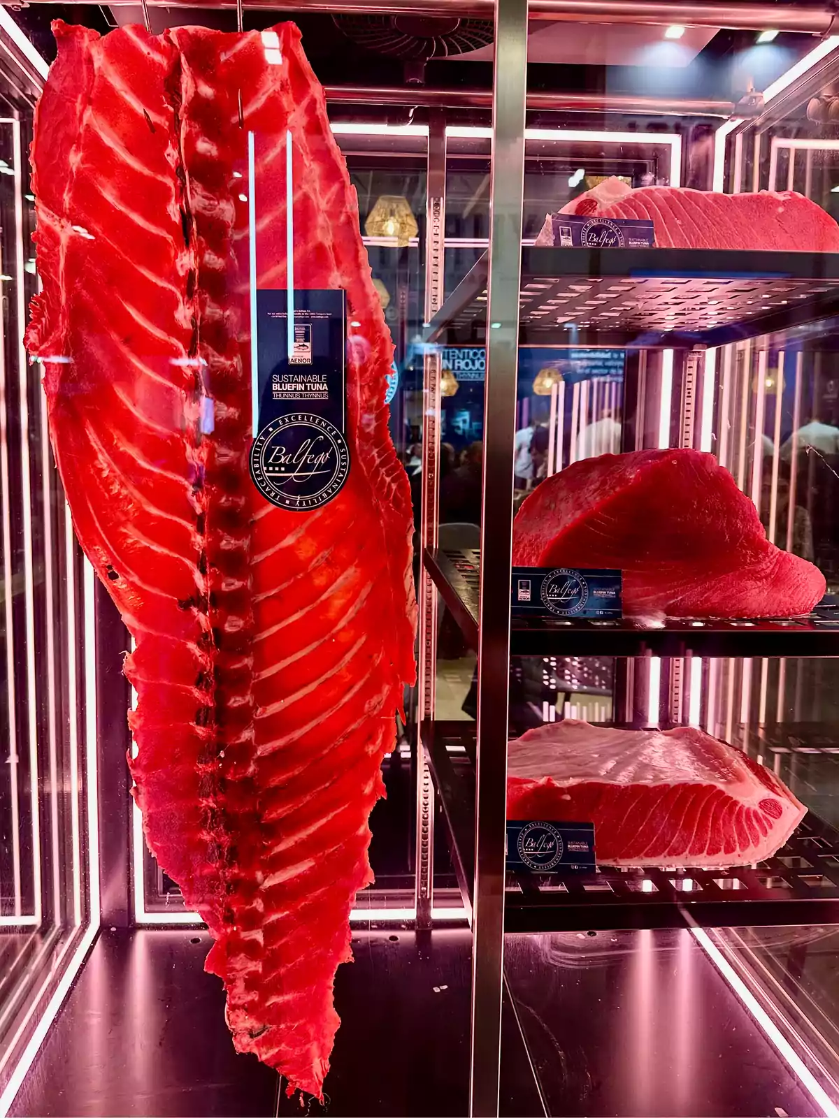 Un gran corte de atún rojo aleta azul sostenible se exhibe en una vitrina iluminada, mostrando su color vibrante y textura. Un gran corte de atún rojo aleta azul sostenible se exhibe en una vitrina iluminada, mostrando su color vibrante y textura.