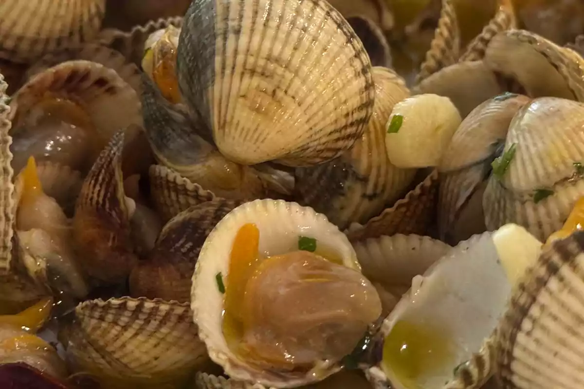 Un plato de berberechos cocidos con ajo y perejil. Un plato de berberechos cocidos con ajo y perejil.