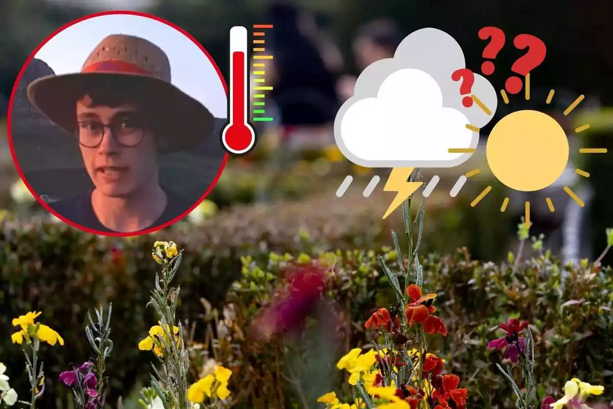 Imagen de fondo de varias flores en un prado, junto a una imagen de Jorge Rey y emoticonos de temperatura, sol, tormenta e interrogantes Imagen de fondo de varias flores en un prado, junto a una imagen de Jorge Rey y emoticonos de temperatura, sol, tormenta e interrogantes