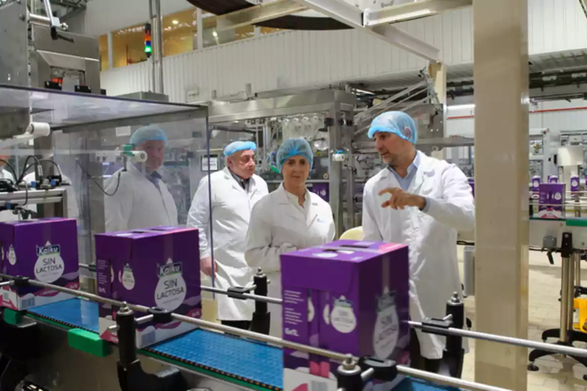 Personas con batas blancas y gorros de protección observan una línea de producción de cajas de leche sin lactosa en una fábrica.