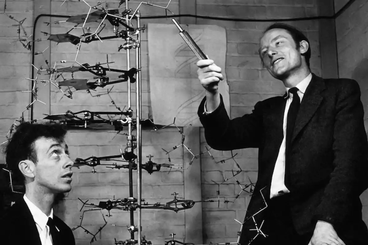 Dos hombres observan un modelo molecular en un laboratorio. Dos hombres observan un modelo molecular en un laboratorio.