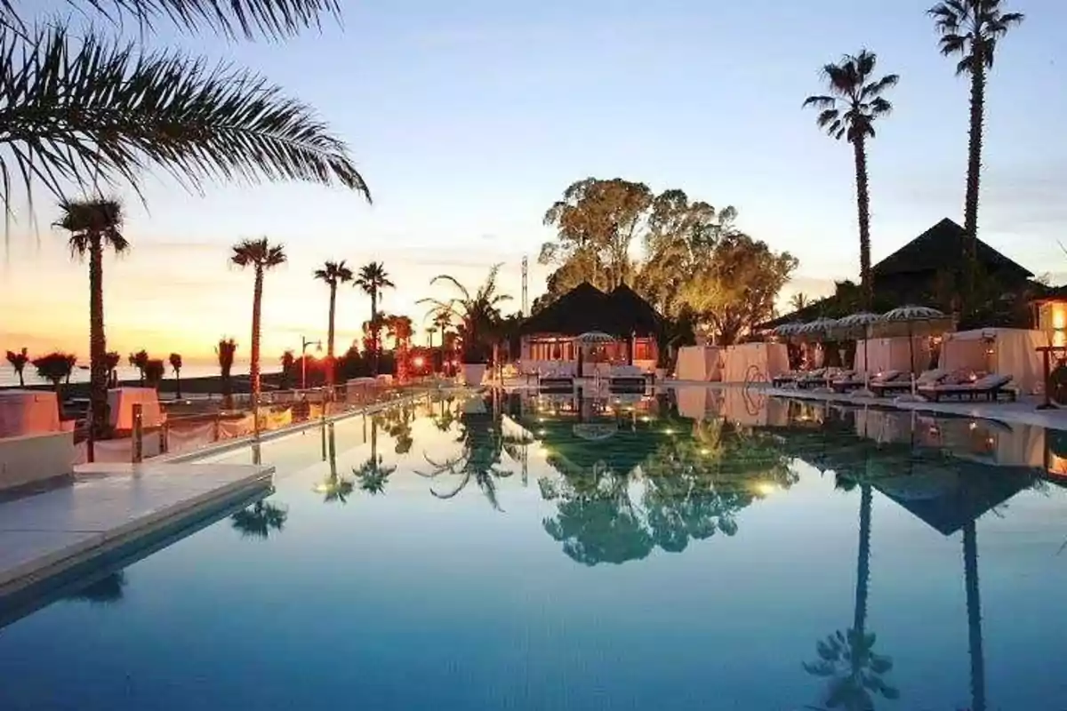 Piscina al aire libre con palmeras al atardecer en un resort tropical.