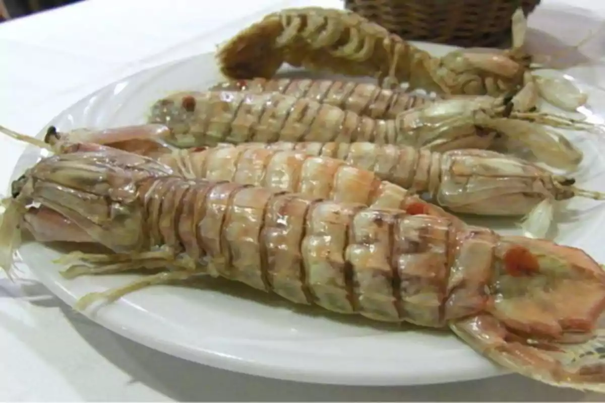 Un plato de mariscos con varios crustáceos servidos sobre una mesa.