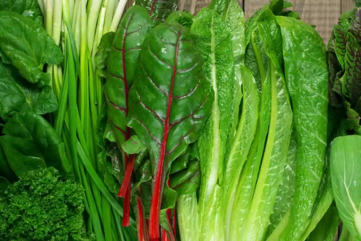 Un surtido de hojas verdes frescas incluyendo espinacas, cebollines, acelgas y lechuga romana. Un surtido de hojas verdes frescas incluyendo espinacas, cebollines, acelgas y lechuga romana.
