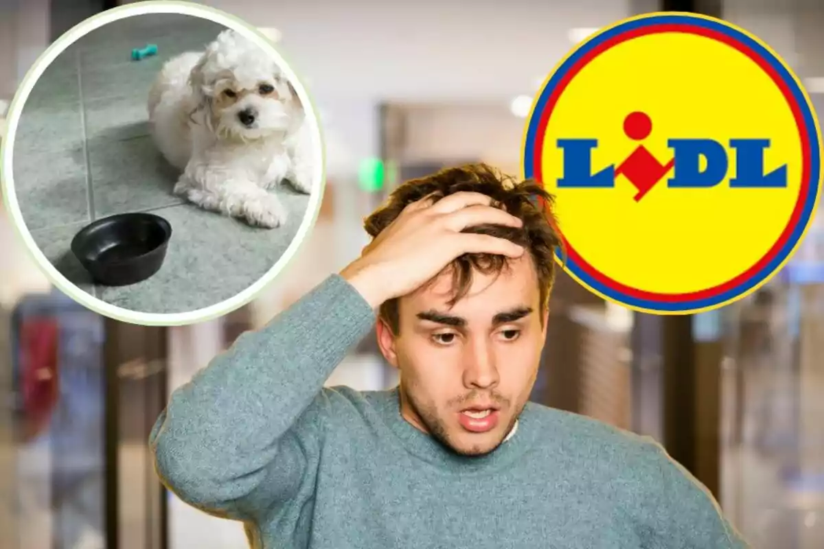 Un hombre con expresión de sorpresa o preocupación, un perro pequeño junto a un cuenco y el logotipo de Lidl.