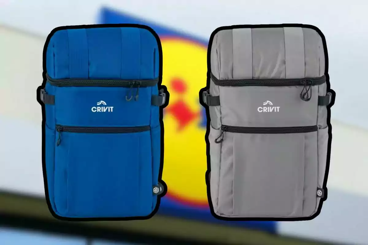 Dos mochilas Crivit, una azul y otra gris, con varios compartimentos y cremalleras, sobre un fondo desenfocado. Dos mochilas Crivit, una azul y otra gris, con varios compartimentos y cremalleras, sobre un fondo desenfocado.