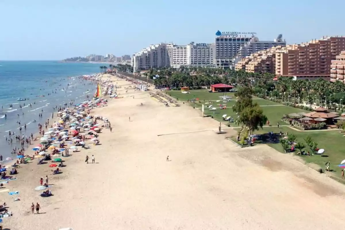 Playa concurrida con sombrillas coloridas y edificios al fondo en un día soleado.