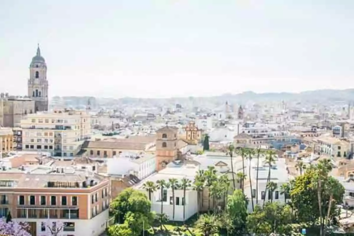 Vista panorámica de una ciudad con edificios históricos y vegetación en primer plano.