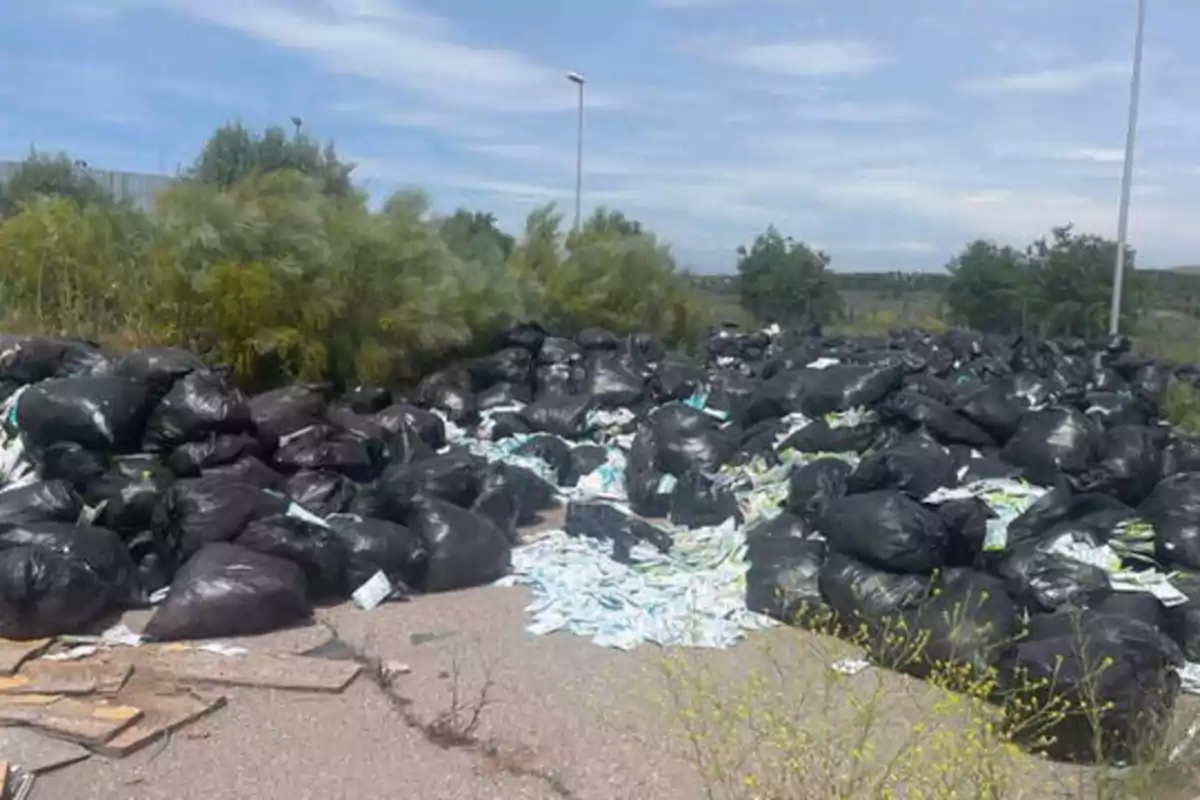 Una gran cantidad de bolsas de basura negras y desechos esparcidos en un área al aire libre con vegetación y un cielo parcialmente nublado.