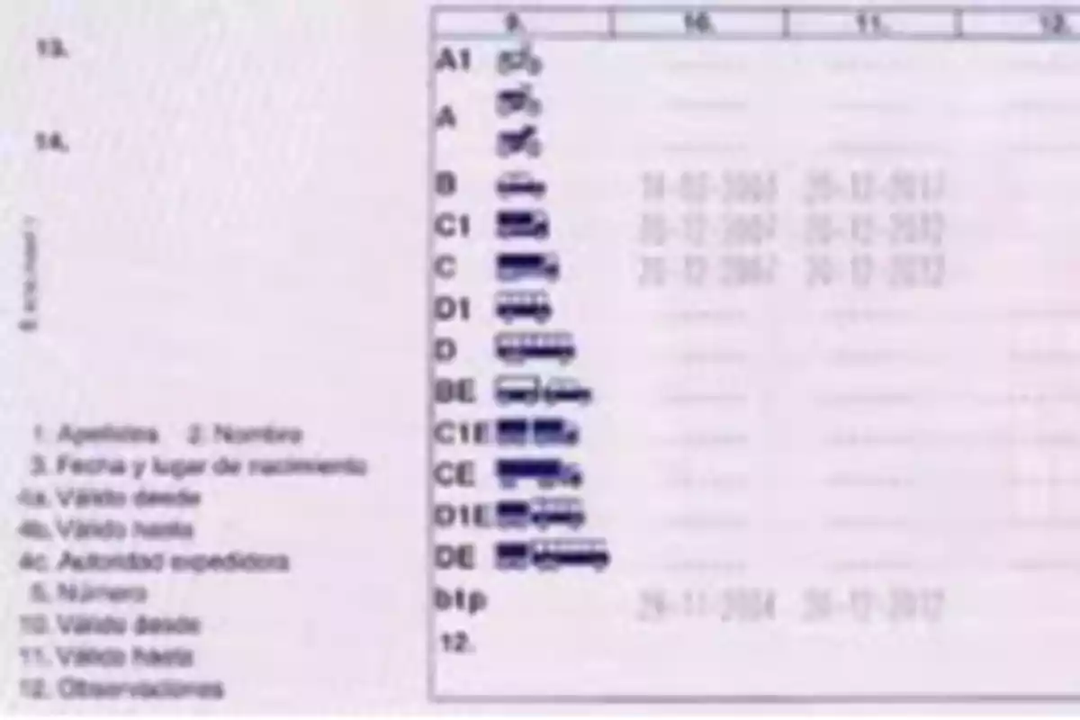 La imagen muestra una tabla con categorías de licencias de conducir, cada una con un ícono representativo de un tipo de vehículo, junto a fechas de validez. A la izquierda, hay un listado numerado con información personal y detalles de validez.