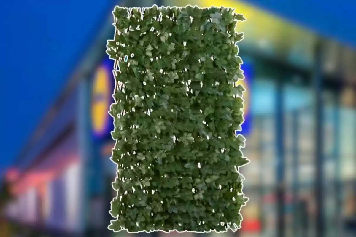 Un panel de hojas verdes con un fondo borroso de un edificio iluminado. Un panel de hojas verdes con un fondo borroso de un edificio iluminado.