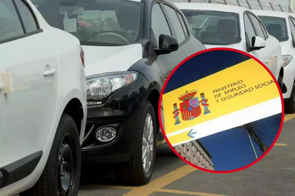 Fila de coches estacionados con un recuadro que muestra el logo del Ministerio de Empleo y Seguridad Social de España.