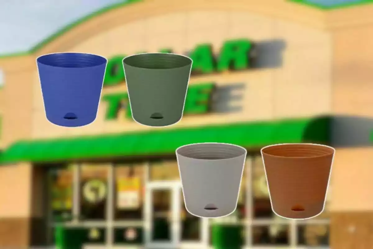 Cuatro macetas de colores diferentes flotan frente a la entrada de una tienda Dollar Tree desenfocada. Cuatro macetas de colores diferentes flotan frente a la entrada de una tienda Dollar Tree desenfocada.