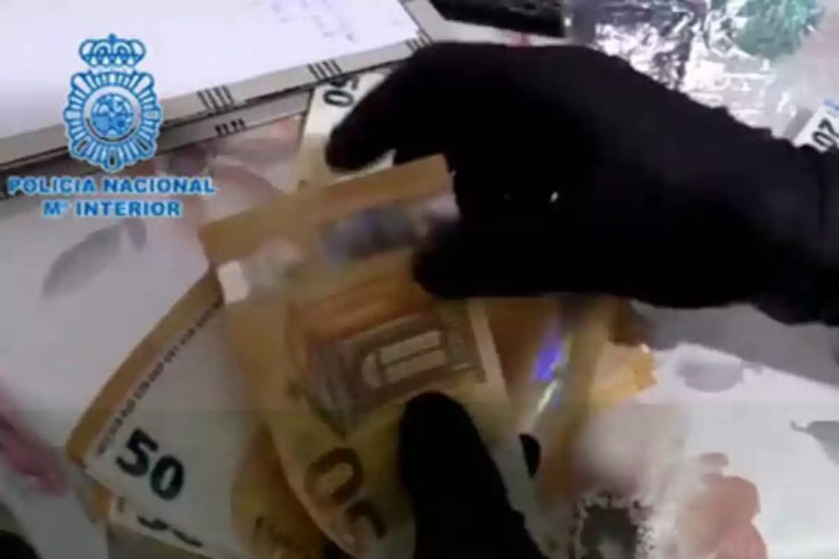 Un agente de la Policía Nacional cuenta billetes de euro con guantes negros.