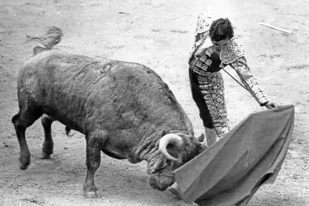 Un torero en plena faena con un toro en una plaza de toros.